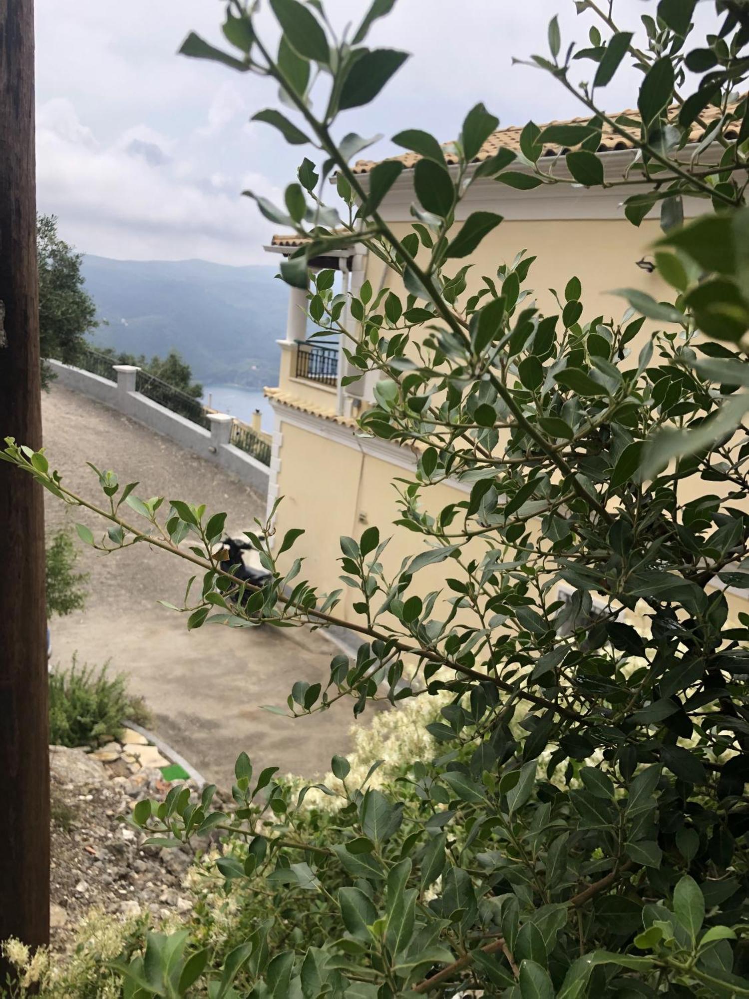 Mariza'S View House Daire Lákones Dış mekan fotoğraf